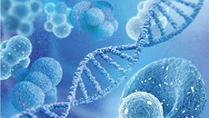 廣州國際細胞與健康產業大會